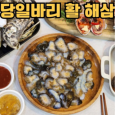 [한정특가] 자연산 활 해삼 특품, 1개, 500g