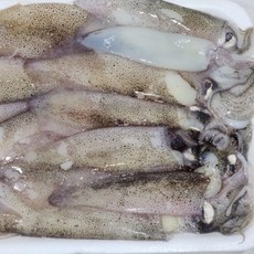 냉동 총알한치 1kg 통찜용 오징어 제품, 1개, 상세페이지 참조