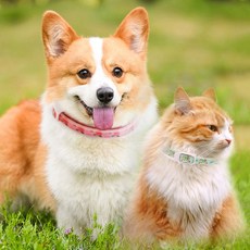 강아지 고양이 진드기 제거 해충방지 모기퇴치 목걸이, 1개