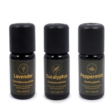 모아니샵 힐링 에센셜오일 10ml 실내디퓨저, 유칼립투스