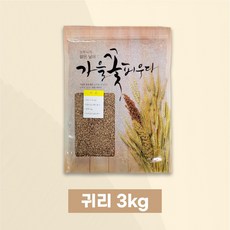 [건강을그리다] 2025년 햇귀리 국내산 귀리 오트밀 국산귀리 저속노화, 1개, 3kg