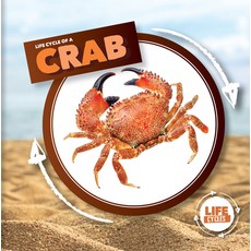 (영문도서) Life Cycle of a Crab Library Binding, Kidhaven Publishing, English, 9781534537804