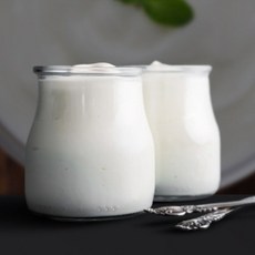 키친아트 요거트메이커 전용 용기(4개입) 유리병 푸딩