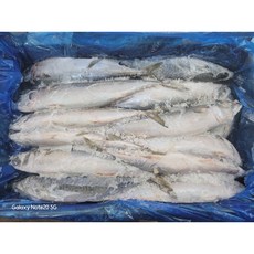 국내산 통 고등어 조림용(10kg내외 20-25마리내외)(절단시 8kg내외 머리꼬리제거 3-4등분절단), 1박스, 10kg내외(통)