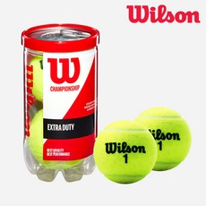 윌슨 챔피언쉽 캔볼 테니스공 1캔 2개입 WRT1067K0, 상세 설명 참조, 1개