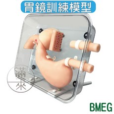 胃鏡手術訓練模型 十二指腸鏡胃鏡訓練模型 非醫療用途教學模型, 1個, 胃鏡訓練模型BMEG