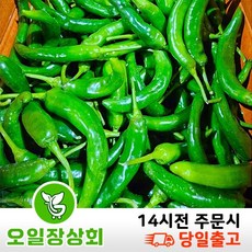 ( 오 일 장 상회 ) 국내산 오이고추 아삭이고추 오이맛고추 안매운고추 <상등급> 5kg 10kg 내외, 1개