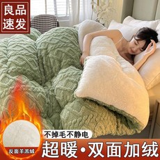 스로우 트윈 모피 따뜻하고 겨울용 이불 침대 대두 이중 네코파라 그레이 차렵이불 따뜻한, 33  양면 기모 도톰화-지속보온잠금 그린200X230