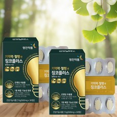 50대60대 부모님 징코은행잎추출물+아연+비타민 2개월분 기억력혈행개선 항산화건강영양제