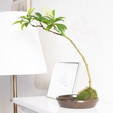 금목서 잎가지 조화 화분 네츄럴수반 set 34x46cm 인테리어 식물 조경 테이블 장식 소품 꾸미기, 1개, 단품