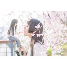 타이로 사진집 로드 무비