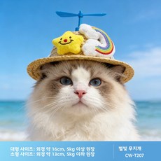 여름 밀짚 바람개비 장식 모자 귀여운 동물 포인트 가벼운 통풍 레저 햇빛가림 모자 Yellwell cck, 1개, 별빛과 무지개