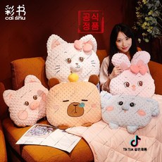wowi-96 suyun-581 다기능 접이식 쿠션담요 사무실 낮잠용 등받이 담요 차량 가정 겸용 휴대 에어컨 담요 (하네르 유한회사 Co. Ltd.)
