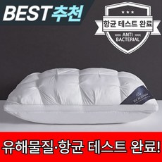 로이잠 빵빵한 고급 향균 숙면 호텔 베개, 1개, 엣지화이트