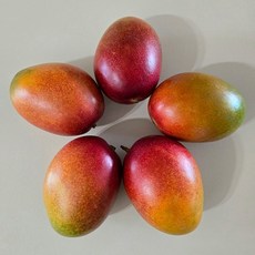 애플망고 2kg 4-5개내외, 없음