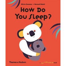 Olivia Cosneau and Bernard Duisit 翻翻翻立體書：《How Do You Sleep?》, 詳見詳細資訊