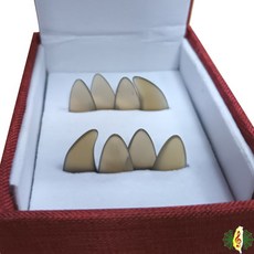 網音樂城 古箏指甲 牦牛角 白牛角 雙手義甲 大號 (一組8片 盒裝), 1個
