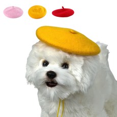 반려동물 울 베레모, 빨강, 1개