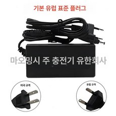 킥보드 리튬이온 배터리팩 48V 20Ah 13S4P BMS 내장 밸런스카용, 1개, 기본 색상, 유럽형 dc 충전기