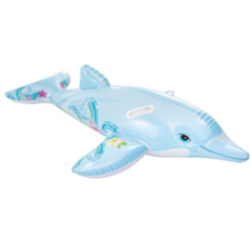 인텍스 아동용 돌핀 라이드온튜브 58535, 돌핀색, 6개