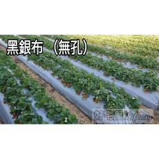 好宅屋 黑銀布 (無孔) 8尺*400米 草莓布 西瓜布 PE塑膠布 防草布, 詳見包裝, 詳見包裝, 0.03mm