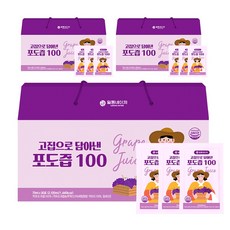 일등네이처 천연 포도즙 100% 포도주스 포도엑기스 임산부 임신준비 포도농축액, 70ml, 90개