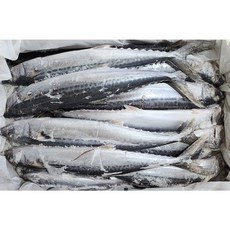 업소용 국내산 냉동 삼치 18/20마리 10kg, 1박스, 18/20마리10kg