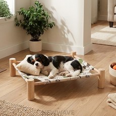 결실상회 펫 해먹 유리부착, 고양이
