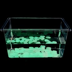 야광 플라스틱 자갈 50P 어항 장식 인테리어 소품, 오렌지, 오렌지