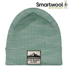 Smartwool Logo 毛帽/保暖帽/針織毛線帽 SW011493, N66 北極綠