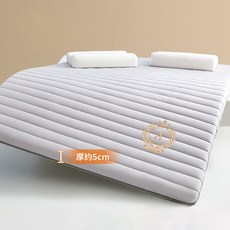 접이식 자취방 라지킹토퍼 두꺼운이불패드 바닥 돌침대요 매트리스 손님용, 1cm, 20_L타입 두께 5cm 120x190cm