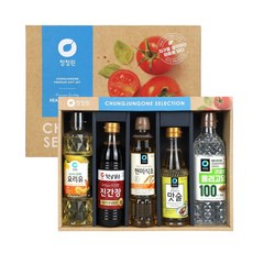 청정원 드림 5호 선물세트 쇼핑백동봉 설날선물 기업 명절 선물, 500ml, 1개