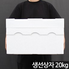 국내생산 20kg 생선 스티로폼 택배 박스 - 상자 포장 아이스박스 대형 큰 사각 운반 스치로폴 스티로폴 스치로폼 어상자 생선박스, 1개, 20kg 생선스티로폼박스