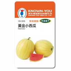 黃金小西瓜種子 SV-205, 1個