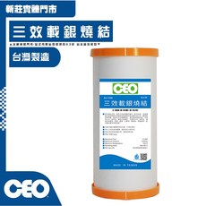 CEO 10吋 大胖 【三效】PP 載銀燒結 新型燒結技術 SJ-1198 水將實體