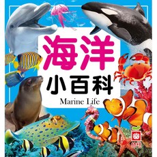幼福文化 海洋小百科 全新小百科 正方形
