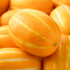 [굿피플] 참외 못난이참외 성주참외 꿀참외 과일, 1개, 못난이 참외 1kg 혼합과