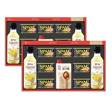 CJ 선물세트 특선 N호(쇼핑백포함), 2개