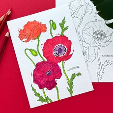 아네모네 꽃 쉬운 색칠 엽서 도안 편지쓰기, 1개