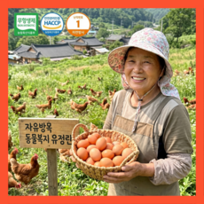 [난각번호1번] 친환경 무항생제 자유방목 유정란, 1세트, 20구
