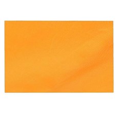 TRIWONDER 해먹 레인 플라이 방수 방수포 캠핑 텐트 발자국 바닥 천 배낭여행 방수포 캠프 쉘터 햇빛 가리개 매트 야외 하이킹 해변 피크닉용 (블루 S - 248.9 x, 02 블루