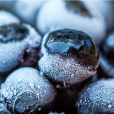 [재구매율1위!] 하루30박스만 국내산 냉동 아로니아, 1박스, 2kg (최상품_꼭지O)