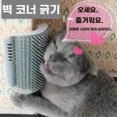고양이 강아지 오징어 장난감 옐로우 간식 마사지기, 1개