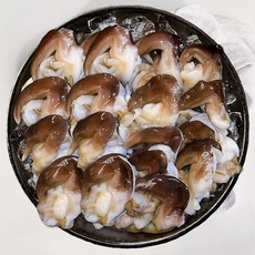 [여수직송] 쫄깃한 새조개 당일새벽조업, 1개, 400g