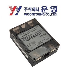 WYES 운영 무접점 릴레이 WYLG1C10Z4, 1개