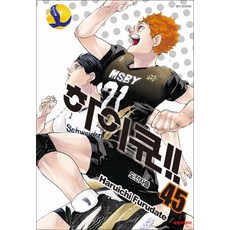 [대원씨아이] 하이큐!! 45권, 단품