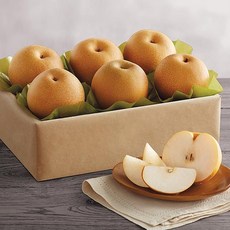 [명절특가] 추석선물세트 프리미엄급 나주배 명품당도, 1세트, 5kg