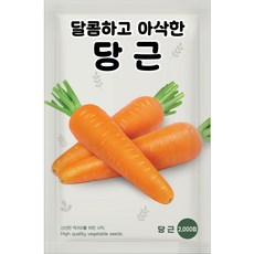 NH농우바이오 달콤하고 아삭한 당근 씨앗 종자 2000립, 1개