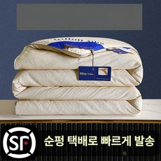 실크 명주솜 안방 이불 수면 솜 부드러운 포근한 사계절 팬션 중력 봄가을 퀸사이즈, 뉴 카멜