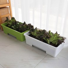 [플라팜] 오가닉 화분(CN9272), 화이트, 1개